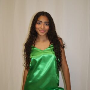 PLAIN GREEN SATIN DRESS